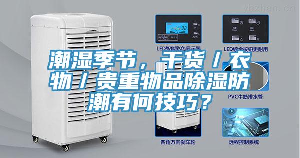 潮濕季節(jié)，干貨／衣物／貴重物品除濕防潮有何技巧？