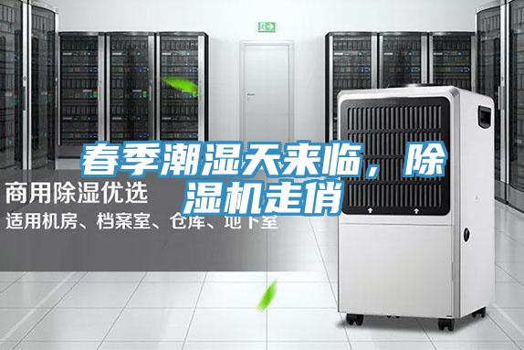 春季潮濕天來臨，除濕機走俏