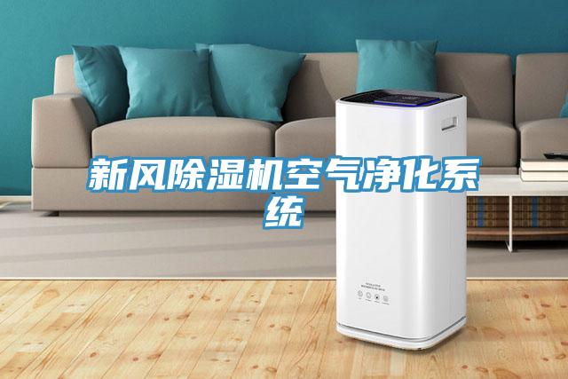 新風(fēng)除濕機(jī)空氣凈化系統(tǒng)