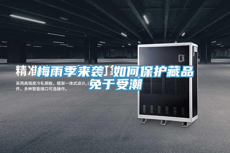 梅雨季來襲 如何保護(hù)藏品免于受潮