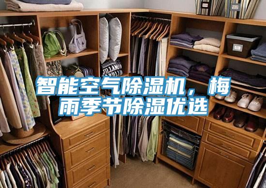 智能空氣除濕機(jī)，梅雨季節(jié)除濕優(yōu)選