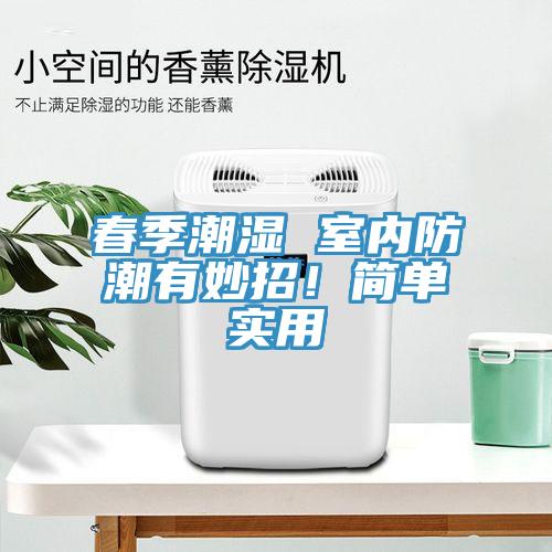 春季潮濕 室內(nèi)防潮有妙招！簡單實(shí)用