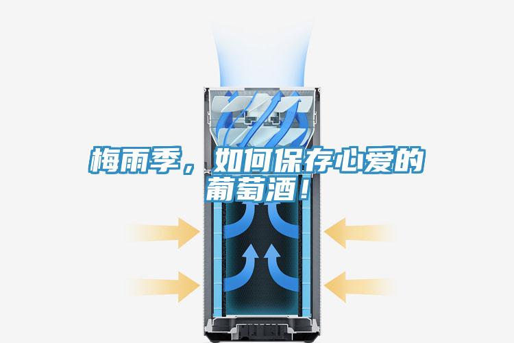 梅雨季，如何保存心愛的葡萄酒！