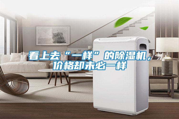 看上去“一樣”的除濕機(jī)，價(jià)格卻未必一樣