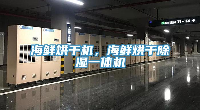 海鮮烘干機(jī)，海鮮烘干除濕一體機(jī)