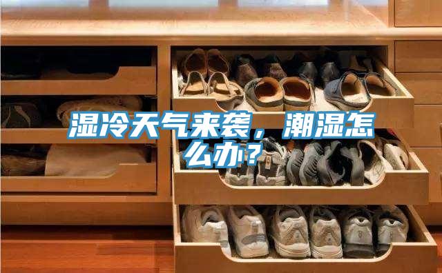 濕冷天氣來襲，潮濕怎么辦？