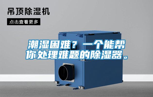 潮濕困難？一個能幫你處理難題的除濕器。