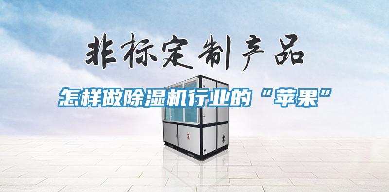 怎樣做除濕機行業(yè)的“蘋果”