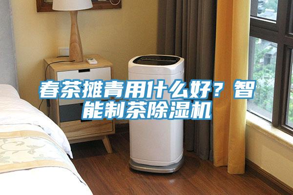 春茶攤青用什么好？智能制茶除濕機(jī)
