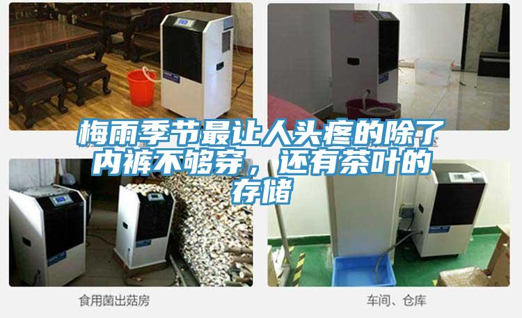 梅雨季節(jié)最讓人頭疼的除了內褲不夠穿，還有茶葉的存儲
