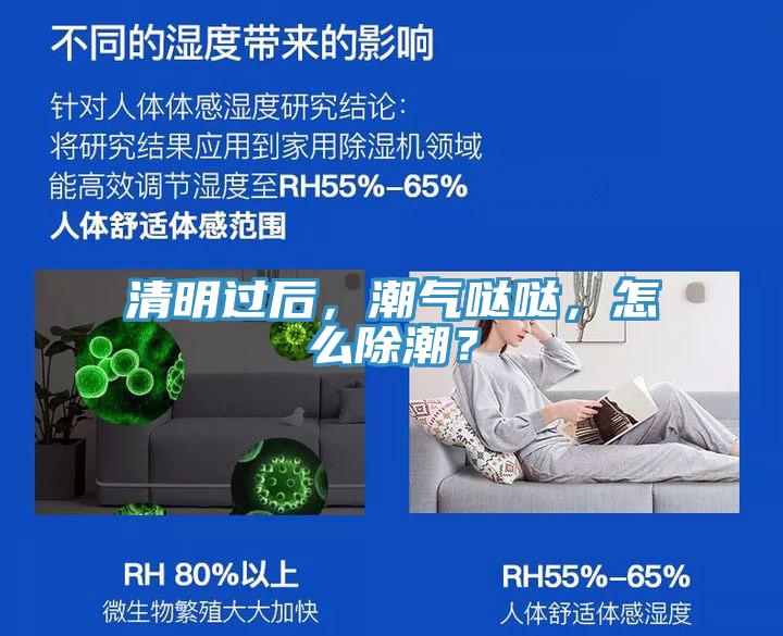 清明過后，潮氣噠噠，怎么除潮？