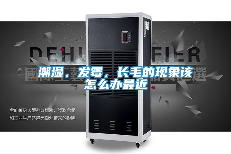 潮濕，發(fā)霉，長毛的現(xiàn)象該怎么辦最近