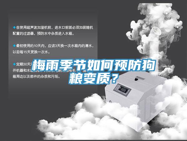 梅雨季節(jié)如何預(yù)防狗糧變質(zhì)？