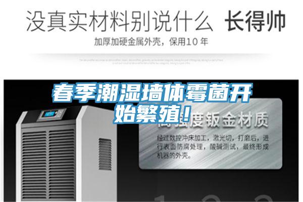 春季潮濕墻體霉菌開始繁殖！