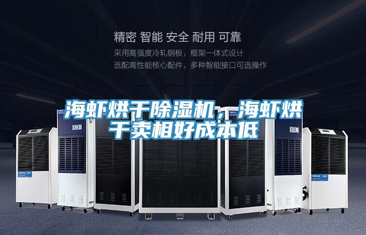 海蝦烘干除濕機(jī)，海蝦烘干賣相好成本低