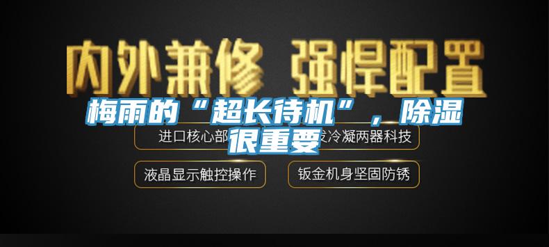 梅雨的“超長待機”，除濕很重要