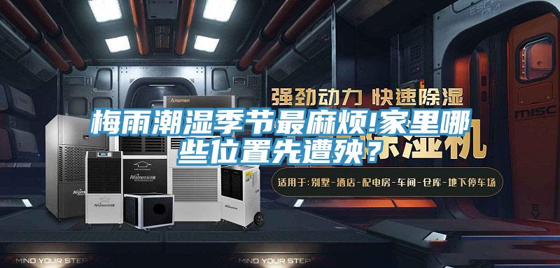 梅雨潮濕季節(jié)最麻煩!家里哪些位置先遭殃？