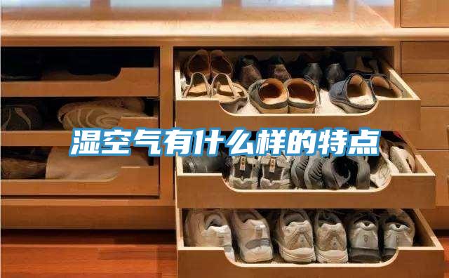 濕空氣有什么樣的特點(diǎn)