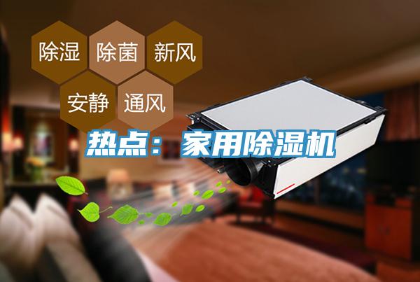 熱點(diǎn)：家用除濕機(jī)