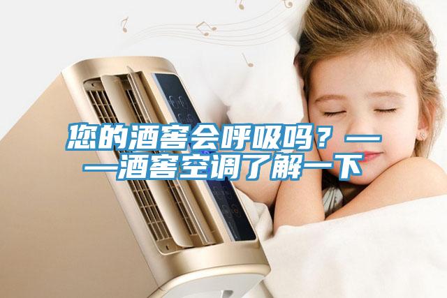 您的酒窖會呼吸嗎？——酒窖空調(diào)了解一下