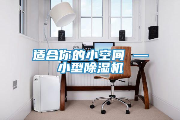 適合你的小空間 —小型除濕機(jī)