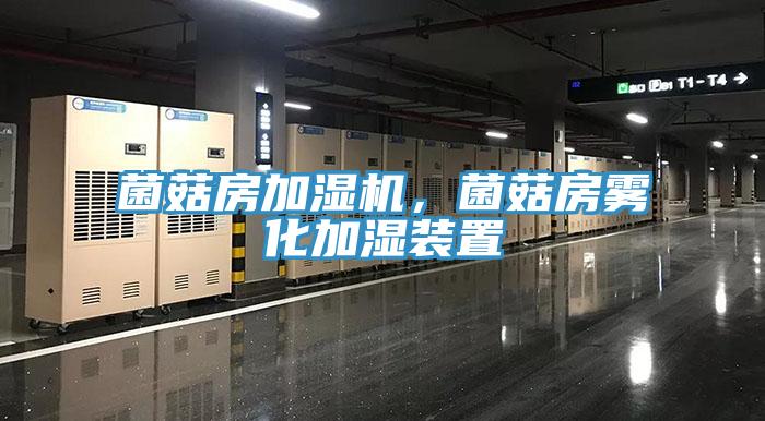 菌菇房加濕機(jī)，菌菇房霧化加濕裝置