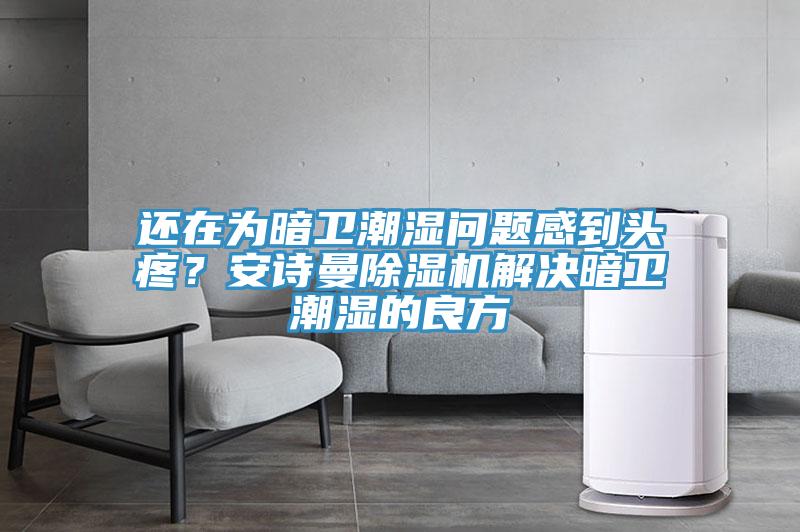 還在為暗衛(wèi)潮濕問題感到頭疼？安詩曼除濕機解決暗衛(wèi)潮濕的良方