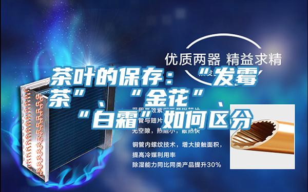 茶葉的保存：“發(fā)霉茶”、“金花”、“白霜”如何區(qū)分