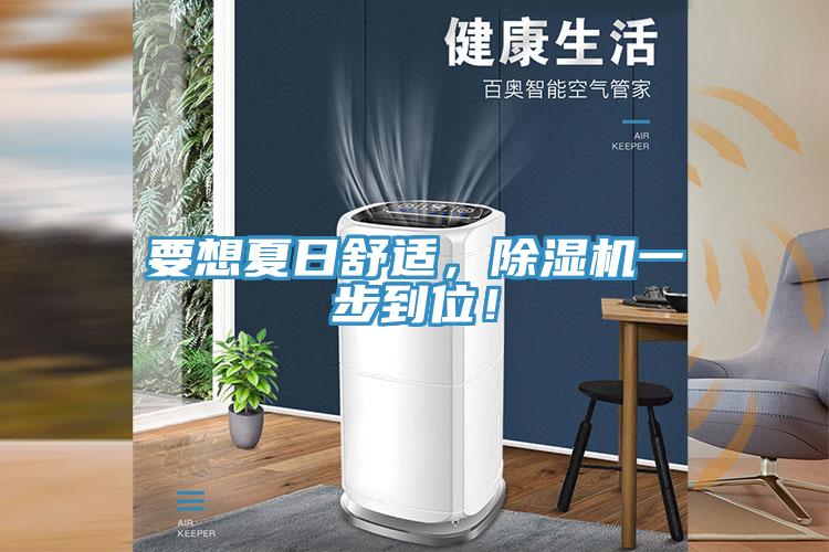 要想夏日舒適，除濕機(jī)一步到位！
