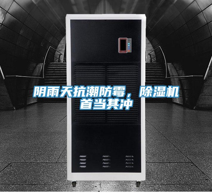 陰雨天抗潮防霉，除濕機(jī)首當(dāng)其沖