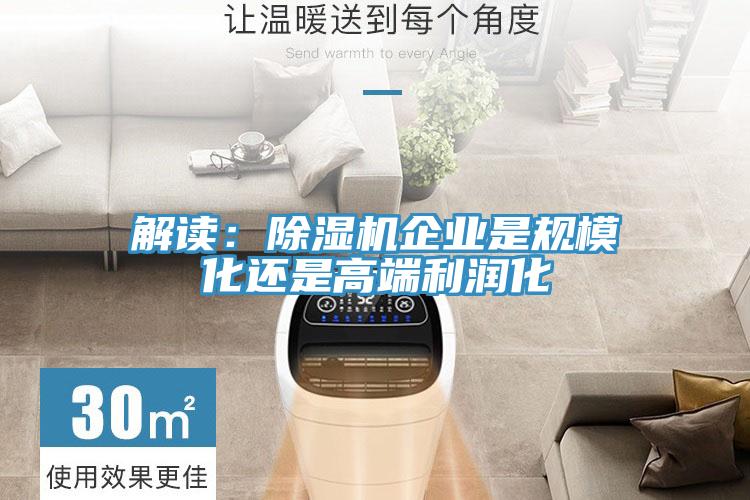 解讀：除濕機企業(yè)是規(guī)?；€是高端利潤化