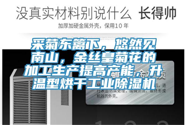 采菊東籬下，悠然見(jiàn)南山，金絲皇菊花的加工生產(chǎn)提高產(chǎn)能，升溫型烘干工業(yè)除濕機(jī)