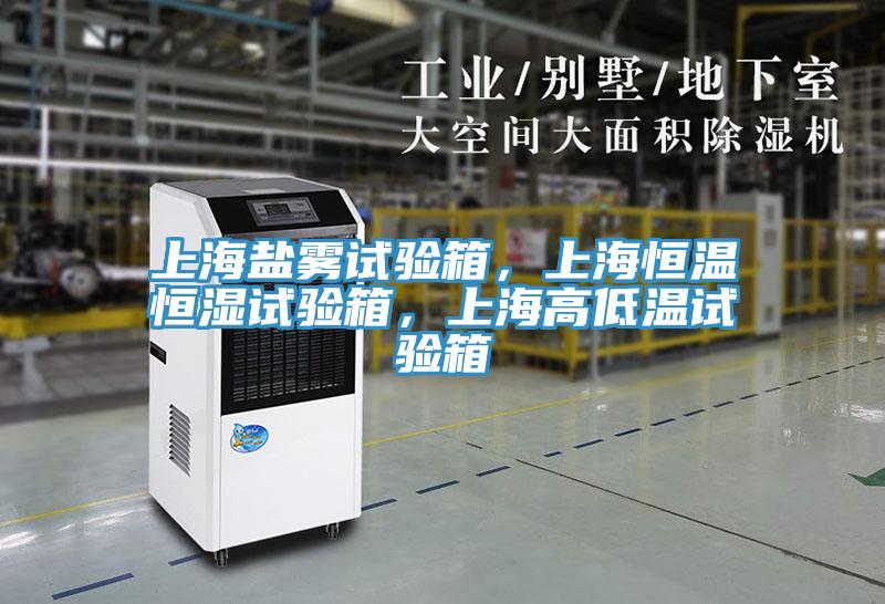 上海鹽霧試驗箱，上海恒溫恒濕試驗箱，上海高低溫試驗箱