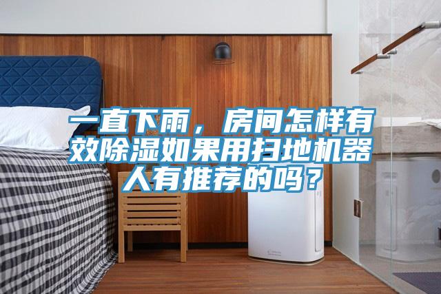 一直下雨，房間怎樣有效除濕如果用掃地機器人有推薦的嗎？