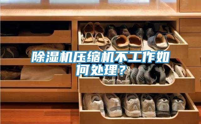 除濕機壓縮機不工作如何處理？