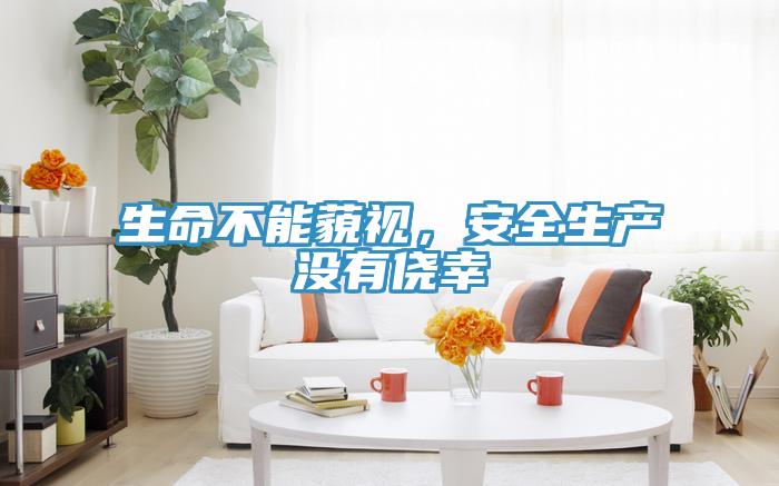 生命不能藐視，安全生產(chǎn)沒有僥幸