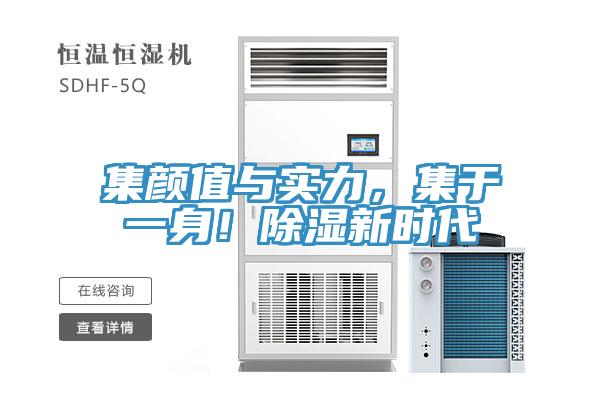 集顏值與實力，集于一身！除濕新時代