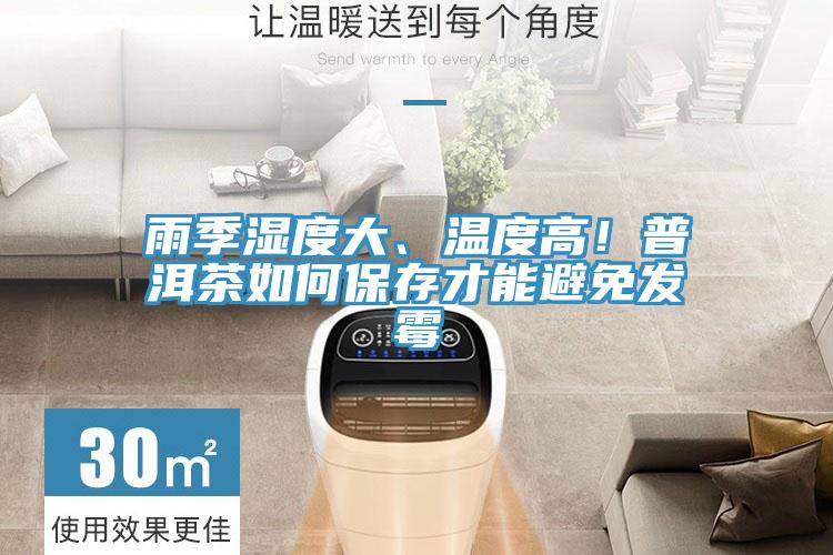 雨季濕度大、溫度高！普洱茶如何保存才能避免發(fā)霉