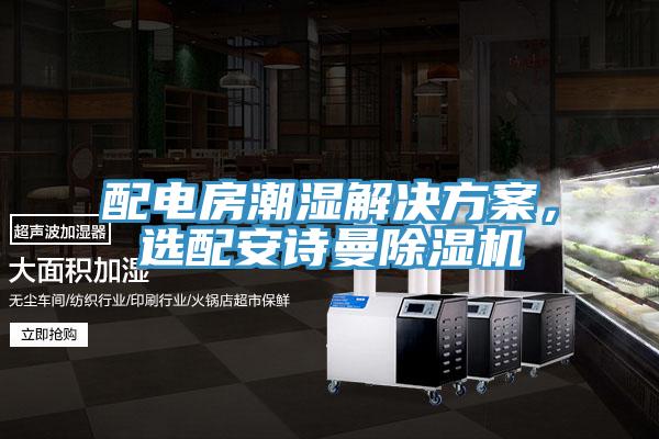 配電房潮濕解決方案，選配安詩曼除濕機