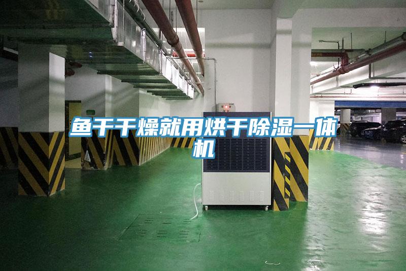 魚干干燥就用烘干除濕一體機(jī)