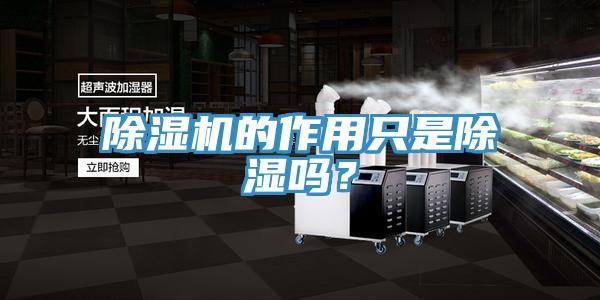 除濕機(jī)的作用只是除濕嗎？