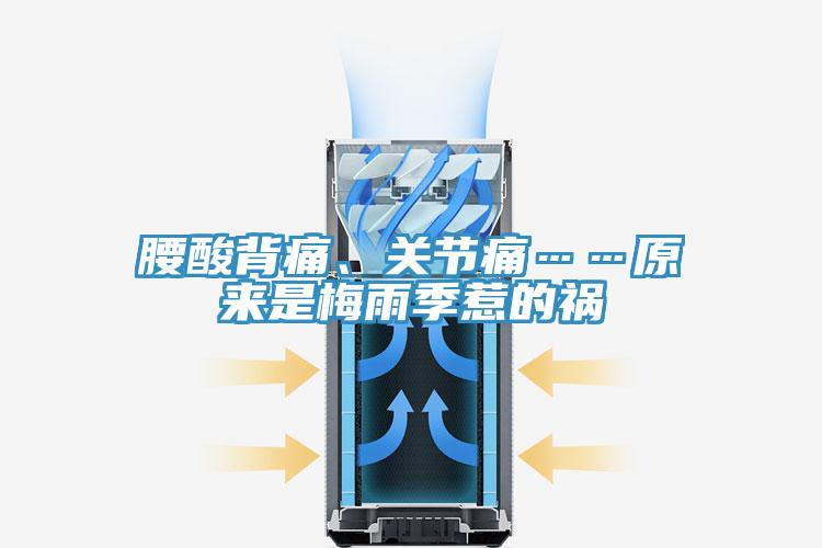 腰酸背痛、關節(jié)痛……原來是梅雨季惹的禍