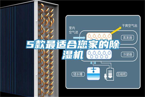 5款最適合您家的除濕機