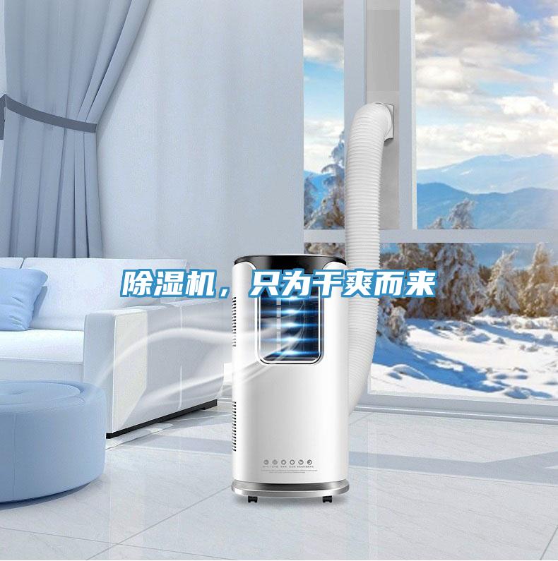 除濕機(jī)，只為干爽而來(lái)
