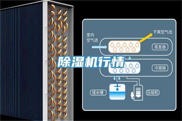 除濕機(jī)行情