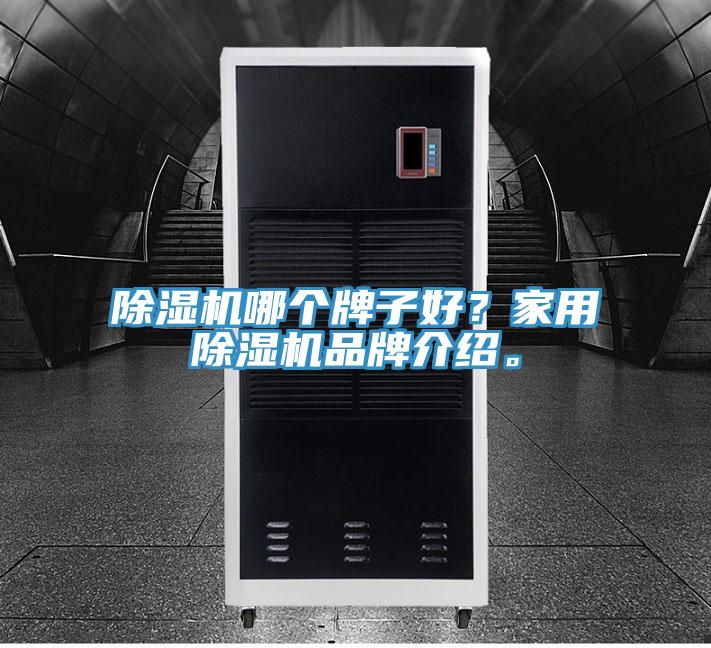除濕機哪個牌子好？家用除濕機品牌介紹。