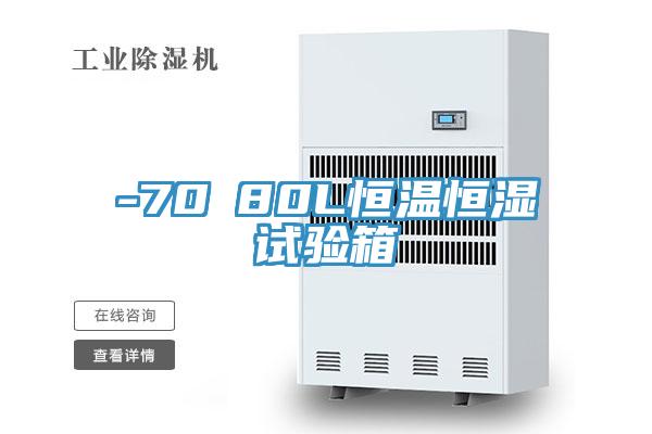 -70℃80L恒溫恒濕試驗(yàn)箱