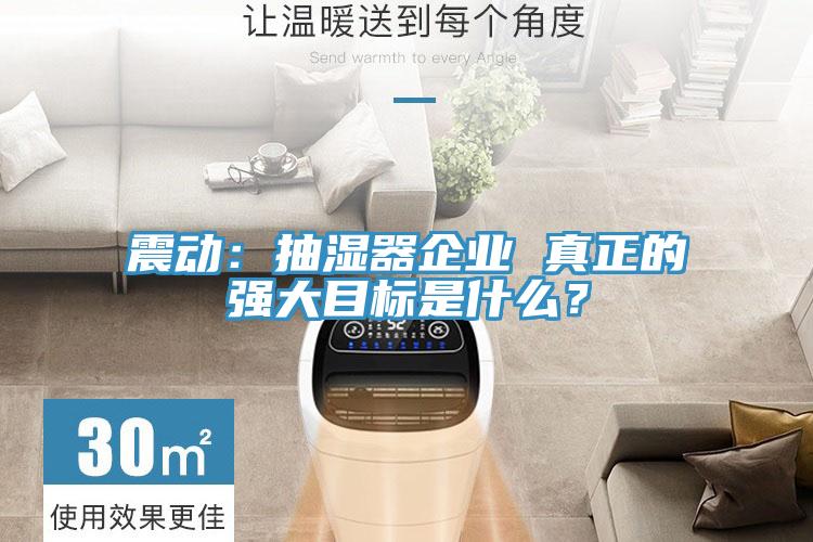 震動：抽濕器企業(yè) 真正的強大目標是什么？