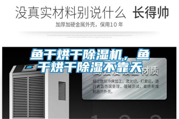 魚干烘干除濕機，魚干烘干除濕不靠天