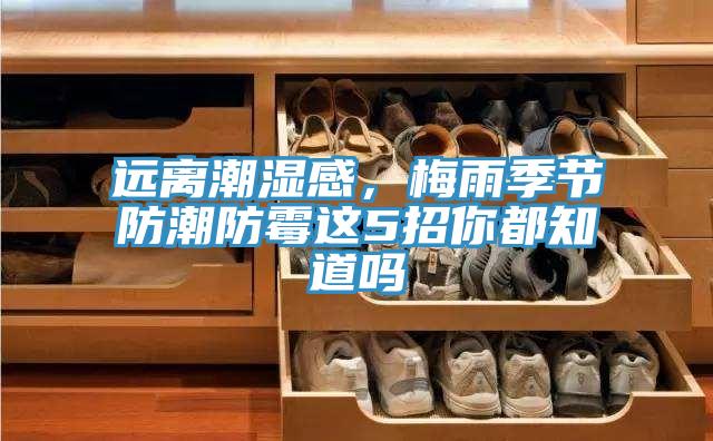 遠離潮濕感，梅雨季節(jié)防潮防霉這5招你都知道嗎